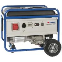 Endress ESE 6000 DBS - Générateur