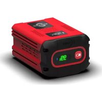 82V290P Cramer