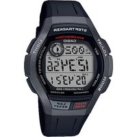 Notice CASIO G-SHOCK DW-290 Montre