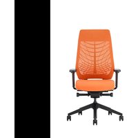 Notice Interstuhl JOYCEIS3 JC217 Chaise de bureau