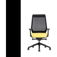 Notice Interstuhl JOYCEIS3 JC211 Chaise de bureau
