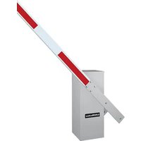 Notice LiftMaster BG3000 Barrière automatique