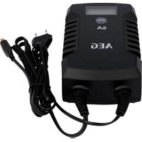LD6 AEG