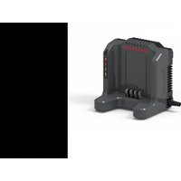 Powerworks P60UC - Caricabatterie