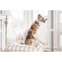PETSAFE PBC00-16368 - Huisdieren