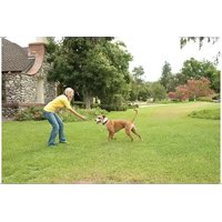 Notice PETSAFE STAY & PLAY PIF00-12917 Animaux domestiques