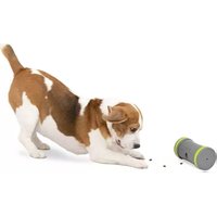 Notice PETSAFE KIBBLE CHASE PTY00-16858 Animaux domestiques