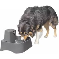Notice PETSAFE DRINKWELL PWW00-16468 Animaux domestiques