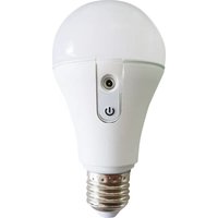 NYX Bulb Astera