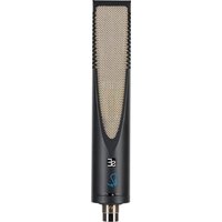 RNR1 SE Electronics