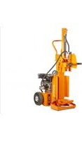 RLT12GVH Anova