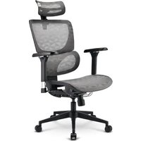 Notice Sharkoon OFFICEPAL C40M Chaise