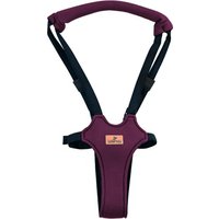 Notice Lorelli STEP BY STEP Balançoire pour bébé