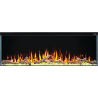 Notice Napoleon TRIVISTA PRIMIS NEFB50H-3SV Fireplace