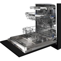 PLB-7161 Pando