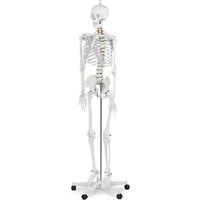 Notice Physa PHY-SK-1 Appareil de fitness