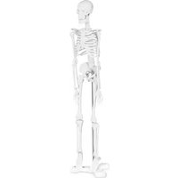 Notice Physa PHY-SK-6 Appareil de fitness