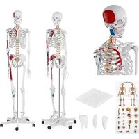 Notice Physa PHY-SK-2 Appareil de fitness
