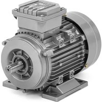 Notice MSW EEM-AF85 Elektrický motor