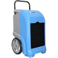 Secco Forte 700 Sonnenkönig