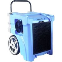 Secco Forte 500 Sonnenkönig
