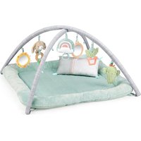 Notice Ingenuity CALM SPRINGS PLUSH Jouets