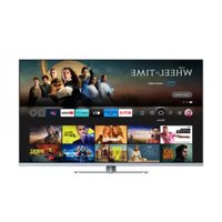 Notice PANASONIC TV-55W93AE6 Téléviseur