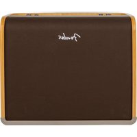 Acoustic Pro FENDER