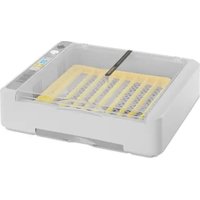 IN-36DDI incubato