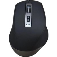 EM-10 Essentiel B