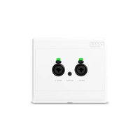 RAD22 Rane