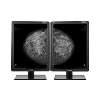 Nio Gray 5.8MP MDNG-6221 Barco