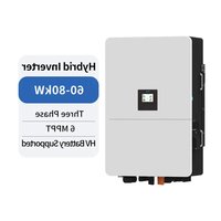 Notice Deye SUN-60K-SG02HP3-EU-EM6 Onduleur