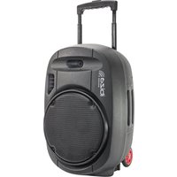 Notice IBIZA SOUND PORT15UHF-MKII-TWS Enceinte audio portable