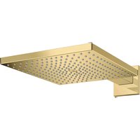 Notice Hansgrohe RAINDANCE E 300 1JET Douchette