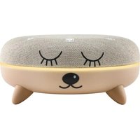 Zen Box Kid TERRAILLON