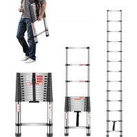 Notice Vevor MF-STL380 Ladder