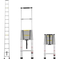 Notice Vevor ML-1062Z Ladder