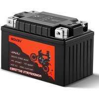 Notice Vevor AMX12-ST020B Batteri