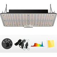 Vevor PGL-C1 - Verlichting