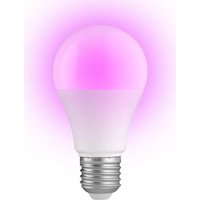 Notice ALECTO SMARTBULB10 Lampe