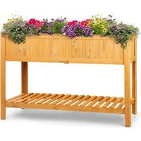 Notice Blumfeldt ALTIPLANO CUBIC Gardening