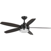 Progress Lighting P250036 - Fan