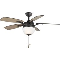 Progress Lighting P2598 - Fan