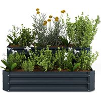 Terrabox Blumfeldt