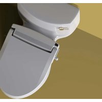 Swash LT99 Brondell