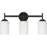 Notice Dainolite WYN-223W-MB Lampe