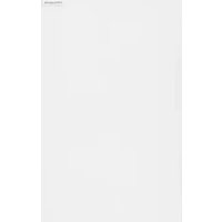 FRIGIDAIRE FRAE1626AW - Fridge
