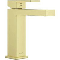 Notice Pfister DUMONT LF042-DMTSDBG Robinet