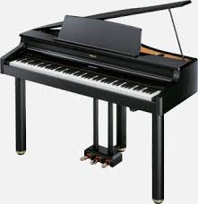 ROLAND RG-1F-SB - Guitare électrique